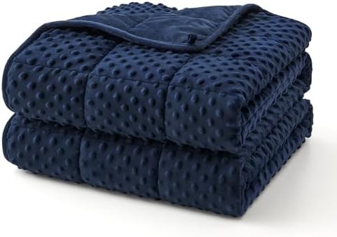 Queen 20 lbs minky dots weighted blanket