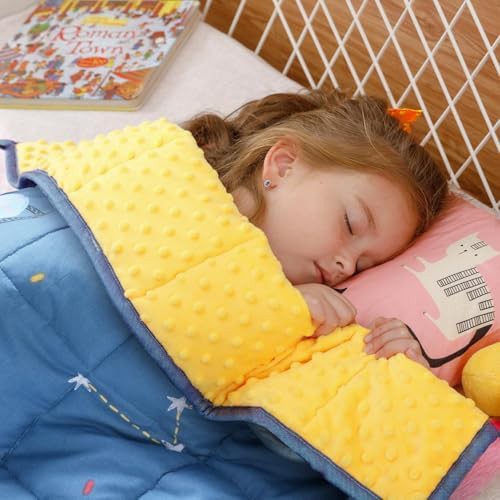 Minky small weighted blanket 3lbs