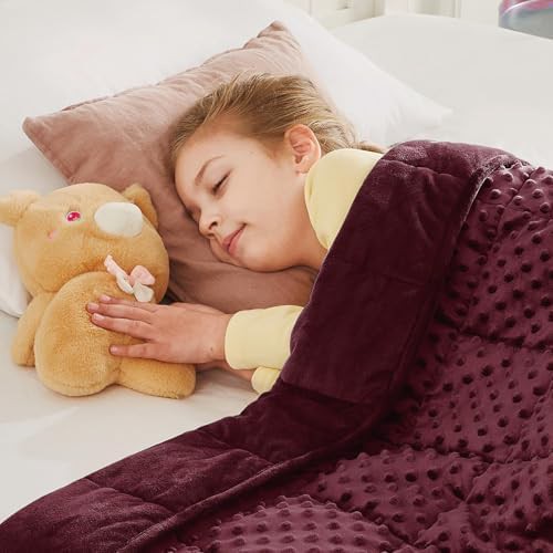 Minky weighted throw blanket 10 lbs